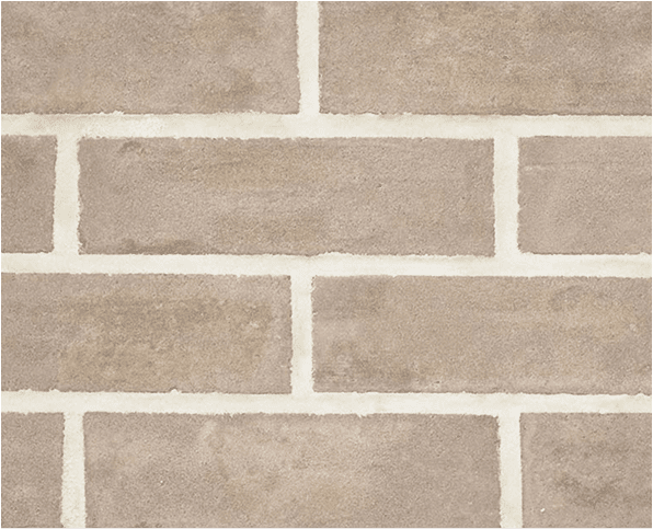 Chestnut product image