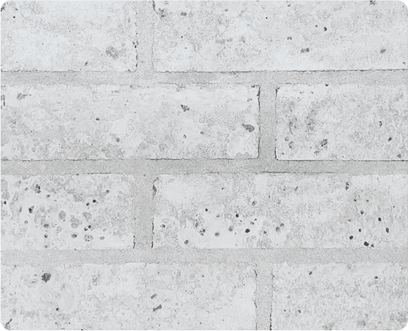 Everest product image